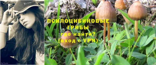 тгк Верхний Тагил