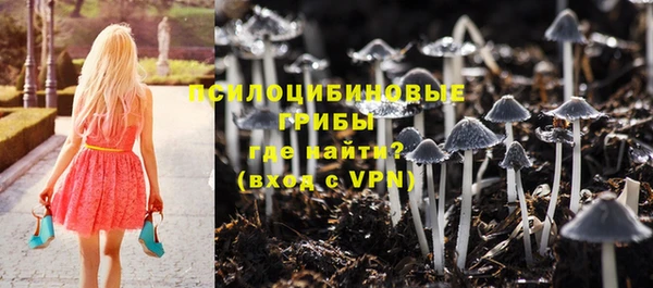 тгк Сосновый Бор