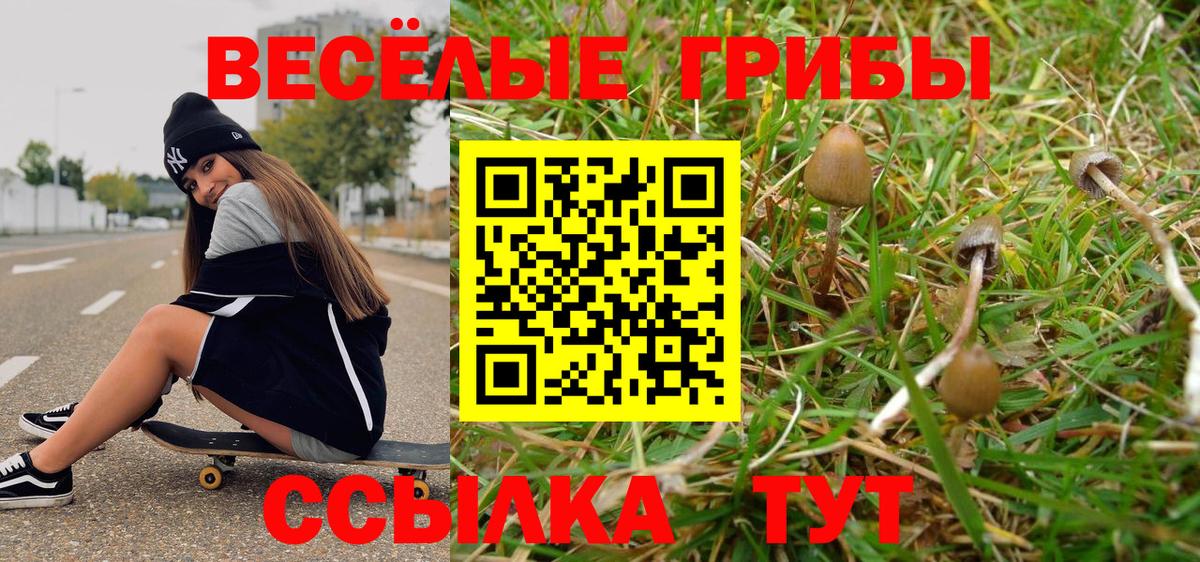 Псилоцибиновые грибы мухоморы Ачинск