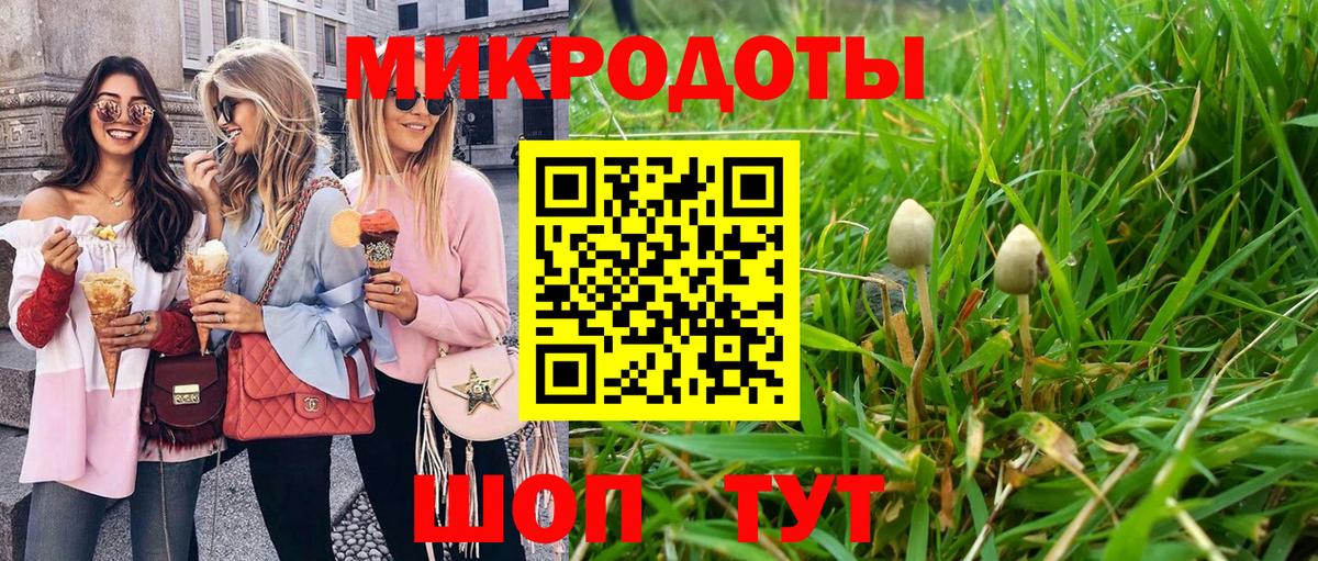 Галлюциногенные грибы мицелий  Ачинск  цены   Галлюциногенные грибы прущие грибы 