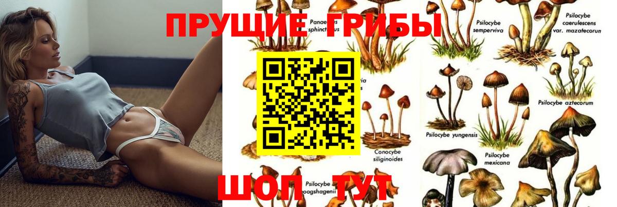 Ачинск  купить закладку  Вход с VPN  Галлюциногенные грибы мицелий 